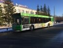 Размещение рекламы на 9-и автобусах Сыробогатов в Тюмени