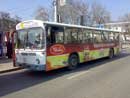 Размещение 15 автобусов в Тюмени рекламы Увелка.